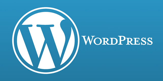 Custom WordPress Theme Development